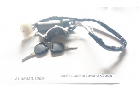 Замок зажигания в сборе